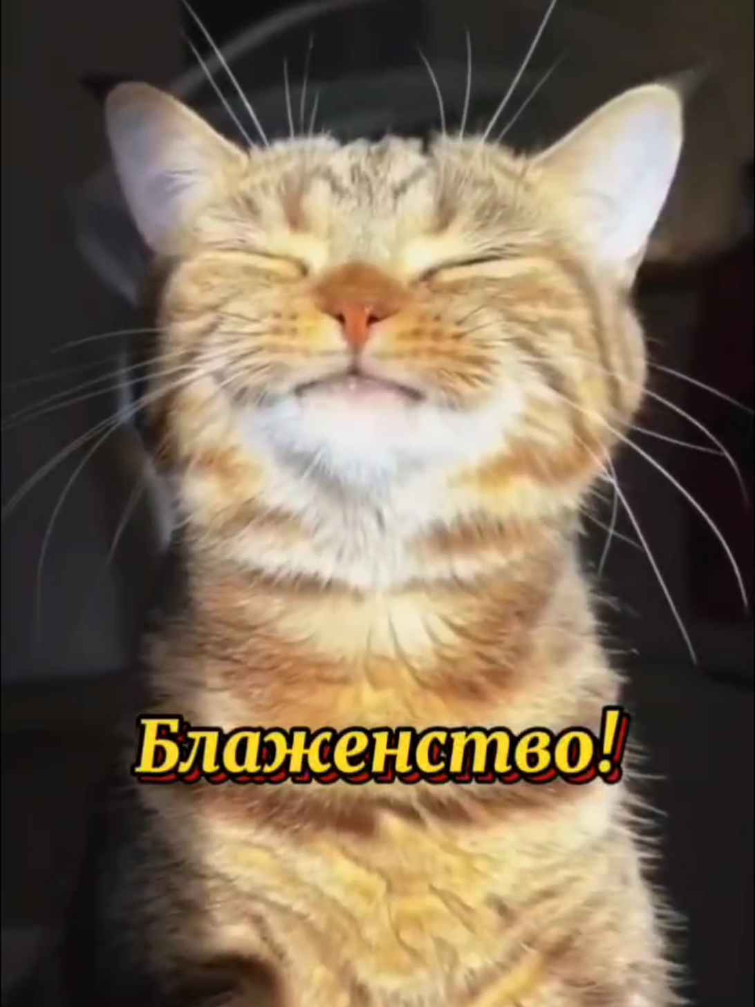 #суббота #утровыходногодня #выходные 