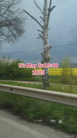 Rest in peace 🙏🏻🕊️ #3rdmay #3rdmay2023 #serbia 