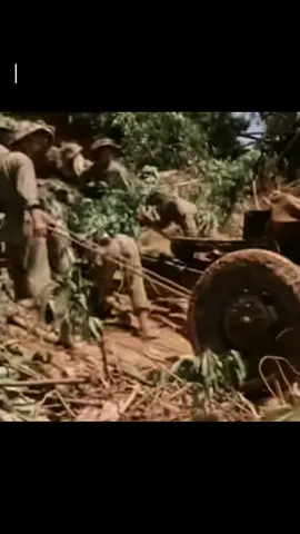 | Tư liệu màu quý hiếm về  Chiến dịch Điện Biên Phủ 1954 #CapCut #hochiminh #vonguyengiap #dienbienphu #lichsuvietnam #History #xuhuong 