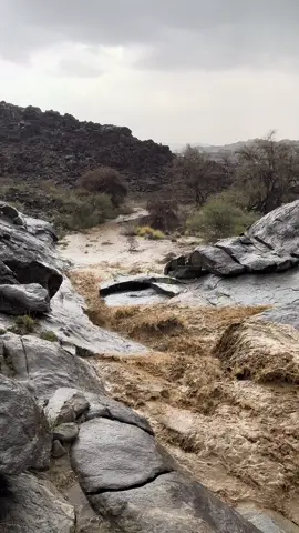 #اكسبلورexplore #اكسبلورexplore #امطار_الجنوب #الجنوب #بللحمر #كشتات #fpyシ #مشالله_تبارك_الله 