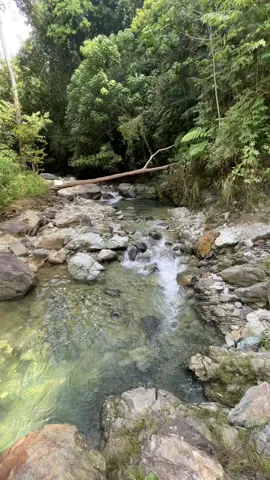 🍃❤️ #fyp #nature #bukid #suba #river 