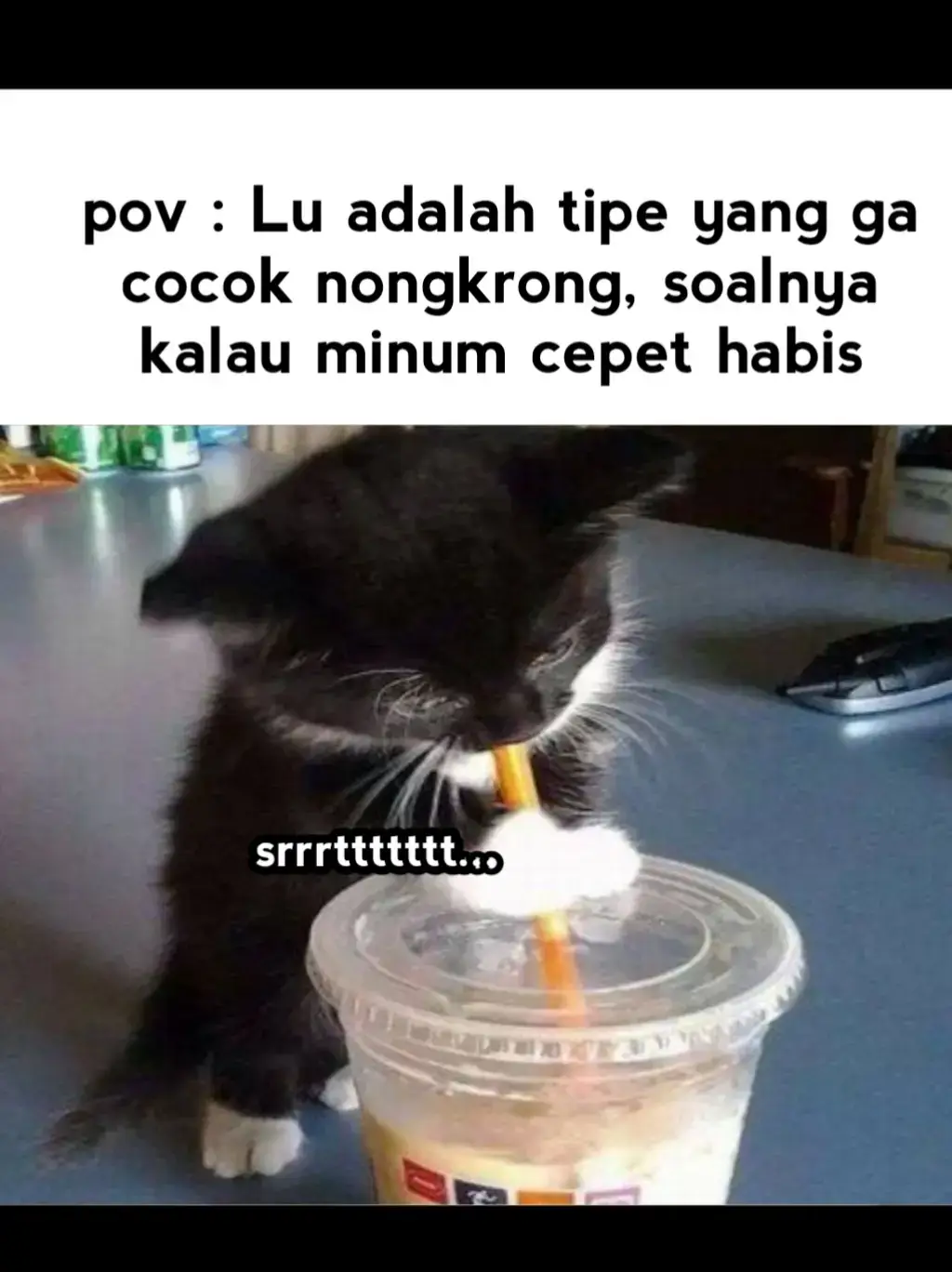 #minum #nongkrong #relatable #fypツ #viral #cat 
