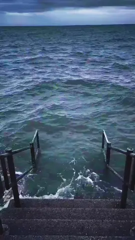 #xuhuongtiktok #meme #funnyvideos #haihuocvuinhon 