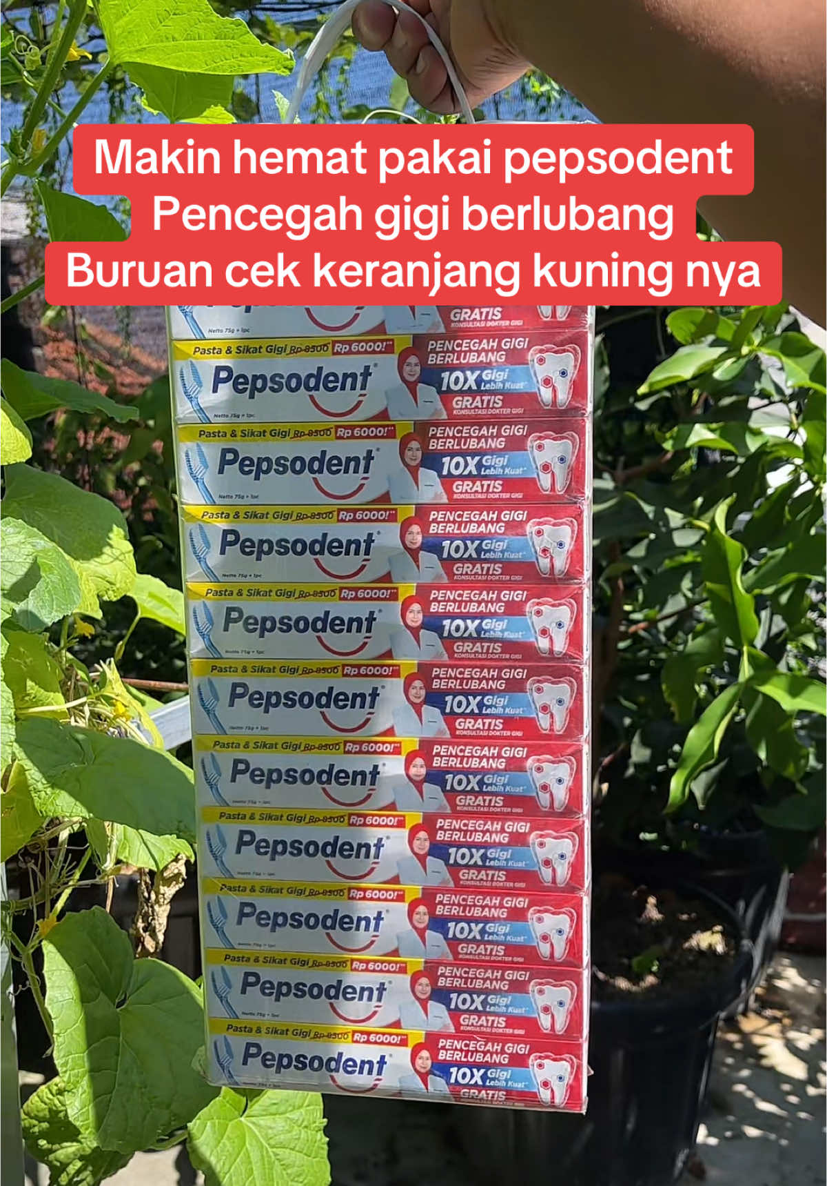 Pepsodent promo#prpsodentmurah #pepsodenthargamurahmeriyah #pepsodenthargaterjangkau 
