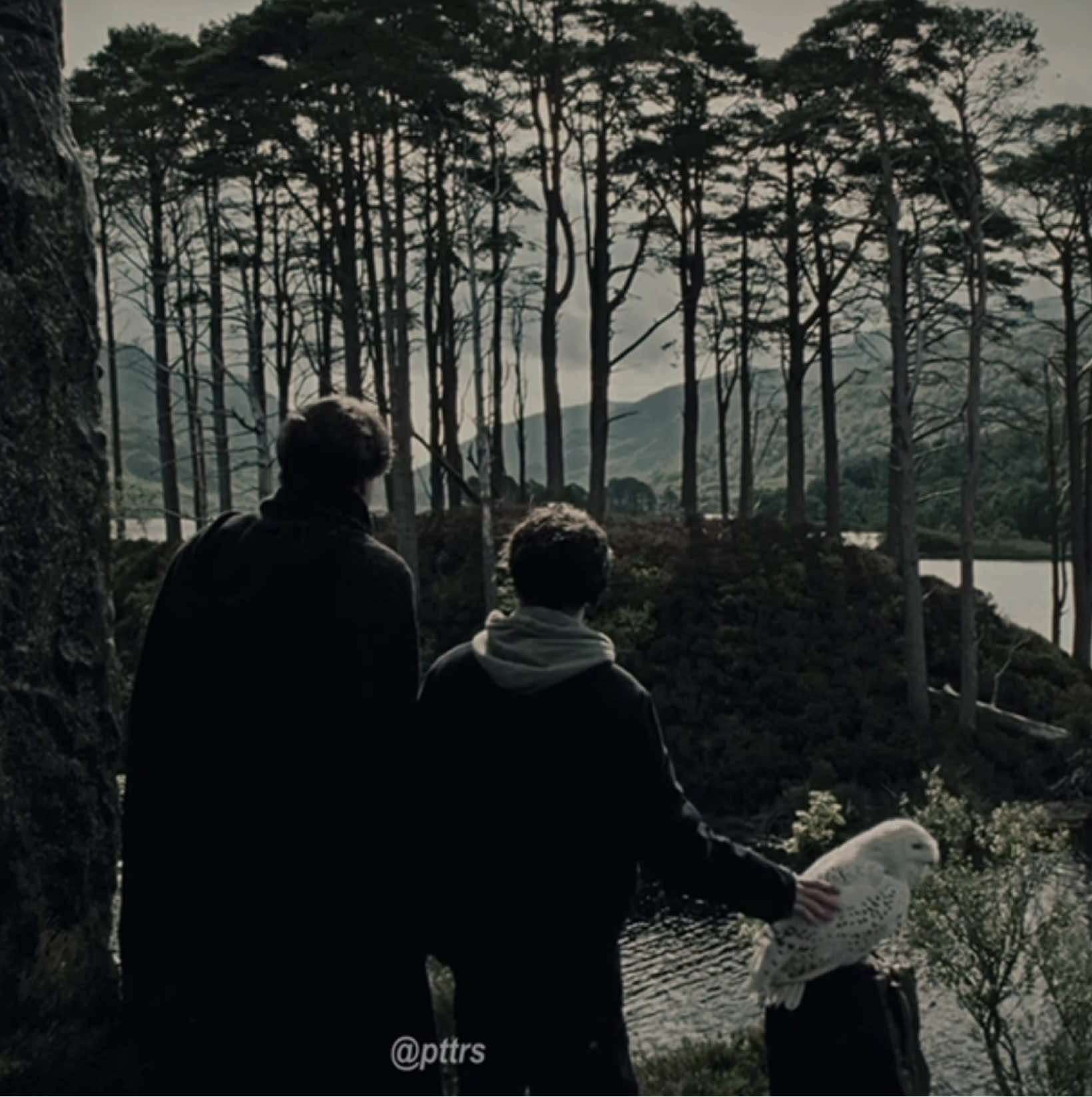 #REMUS & #HARRY | he was the last piece of a family harry never got to keep. scp: aexpectopacks & hpscenespacks on ig!  #harrypotter #harrypotteredit #remuslupin #remuslupinedit #hogwarts #capcutedit #edit #capcut #hermionegranger #ronweasely #dracomalfoy #marauders #moony #blowthisup #foryoupage #fyp #viral #famous 