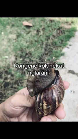 Sampean mendem? #xybca #trending 