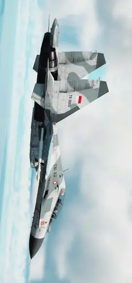 Maritime patrol w/@Iwelll  Su-30SM & Su-27 #warthunderindonesia #warthunder #warthunderaviation  #warthundervideo  #warthundertiktok  #warthundermemes  #warthundertanks  #warthunderplanes 