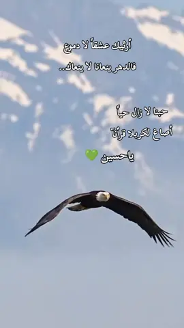 #للحب رآيات #نور عيني يامولاي ياأبا عبدالله الحسين #السلام_عليك_يااباعبد_الله_الحسين_عٍ 