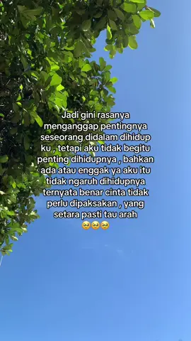 dia penting dihidupku 🥹🥹tetapi aku tidak 🥹🥹