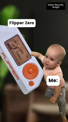 Who need it? 💥 #funnymeme #flipperzero #memeviral #techgadgets #memevídeo 
