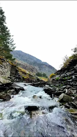 River and a bit of relax in the mountains #river #relax #water #mountains #live #nature #chill 