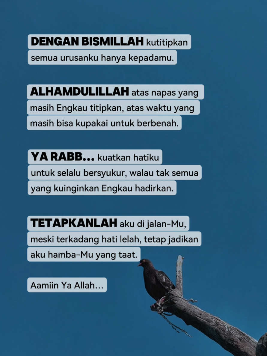 #quotesislami #muhammadagil28 
