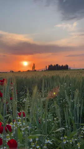 #storylikvideolar📌 #sözlüvideolar #storylikşarkılar🎶 