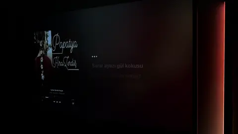 🎧Papatya - hiraizerdüş #hiraizerdüş #papatya #turkish #applemusic #spotify #kesfet #foryou #türkiye #song #fypage #lyrics 