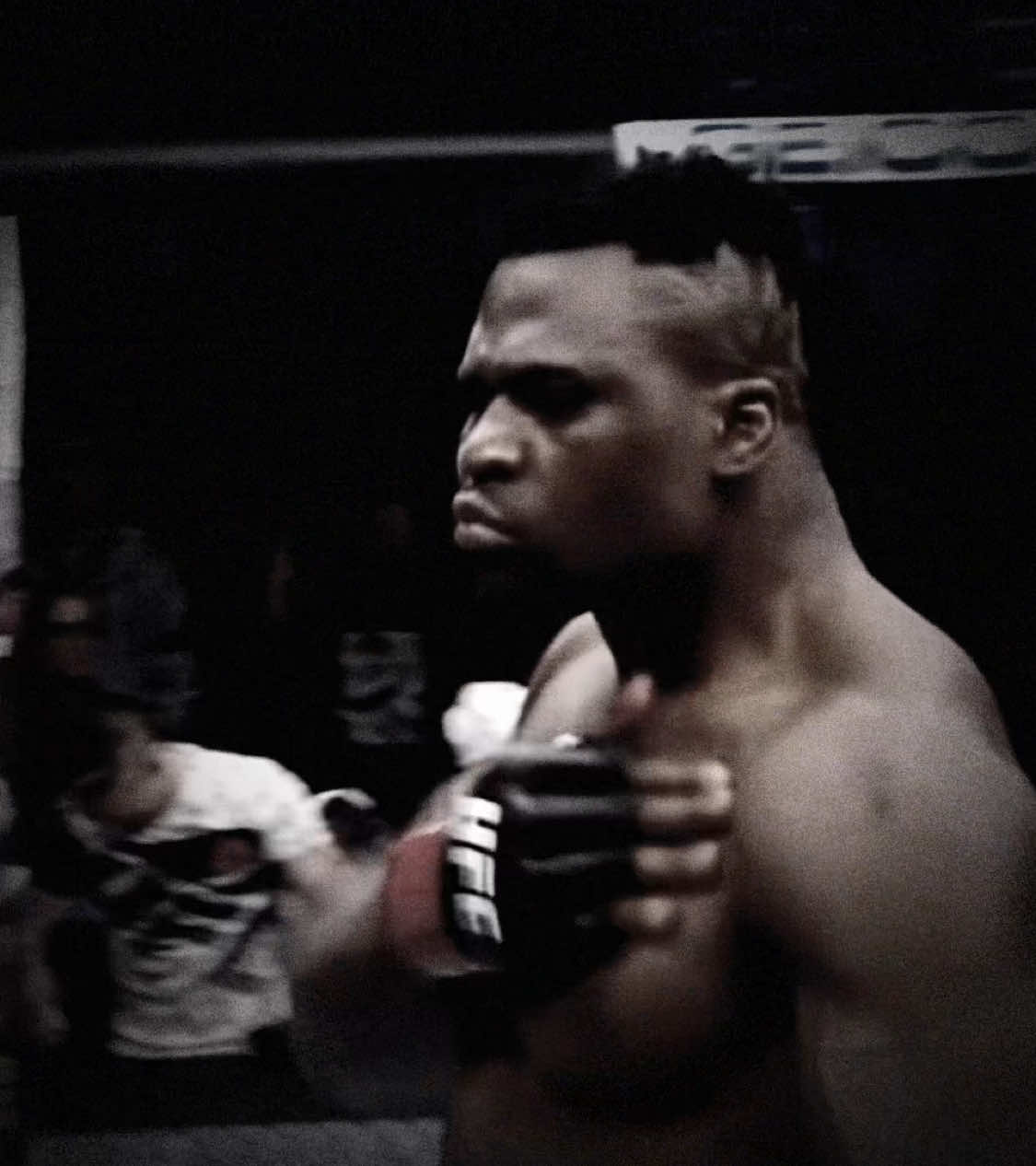 The gorilla himself isnt talked about in this debate ? ☠️ #fyp #gorilla #francisngannou #francis #mma #100v1 #viral #trending 