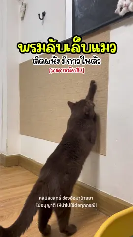 พรมลับเล็บแมว แบบติดผนัง แผ่นหนาแข็งแร็ง ใช้ได้นาน ชอบสุดเพราะไม่มีเศษกระดาษหล่นให้บ้านเลอะเลย #ลับเล็บแมว #พรมลับเล็บแมว #ของเล่นแมว #รีวิวของดีบอกต่อ #ทาสแมวมือใหม่ #ใช้ดีบอกต่อ #ป้ายยาtiktok #อ้อมาป้ายยา 
