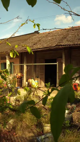 Ngôi nhà ấy khung cảnh ấy vẫn mãi trong kí ức của bao người #xuhuong #canhqueyenbinh #mientay #oque 