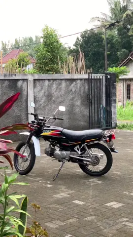 Bapakku Ndue Winn  #win100 #hondawin #winmodifikasi #win100modifkasiclassicindonesia 