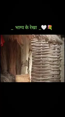 _  भाग्य के रेखा  _🤍💐 old Tharu movie #tharuvideo #tharumovie #tharusong #foryou #fyp #viral 