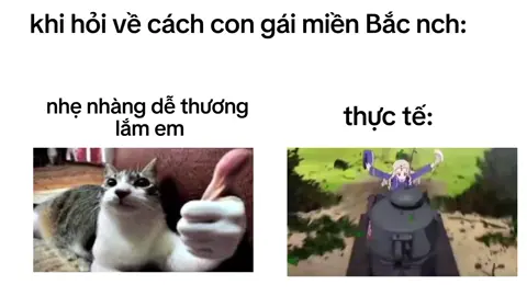 cũng nhẹ nhàng#meme#khungbolongtieng 
