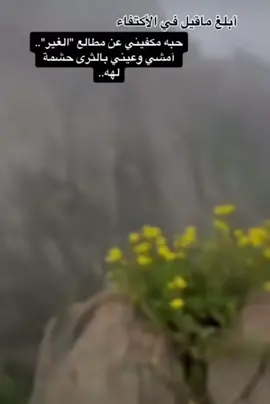 🌷🌷