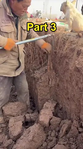 My daughter's teacher encouraged kids to call her 