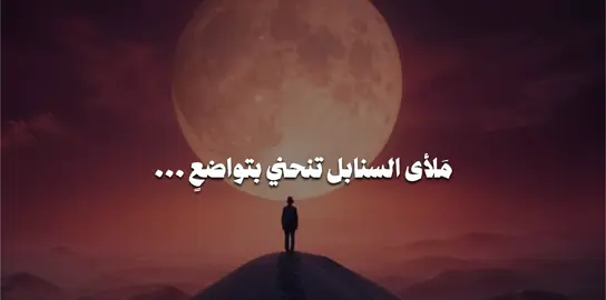 متابعة للحساب #الشيخ_علي_المياحي #اكسبلورexplore 