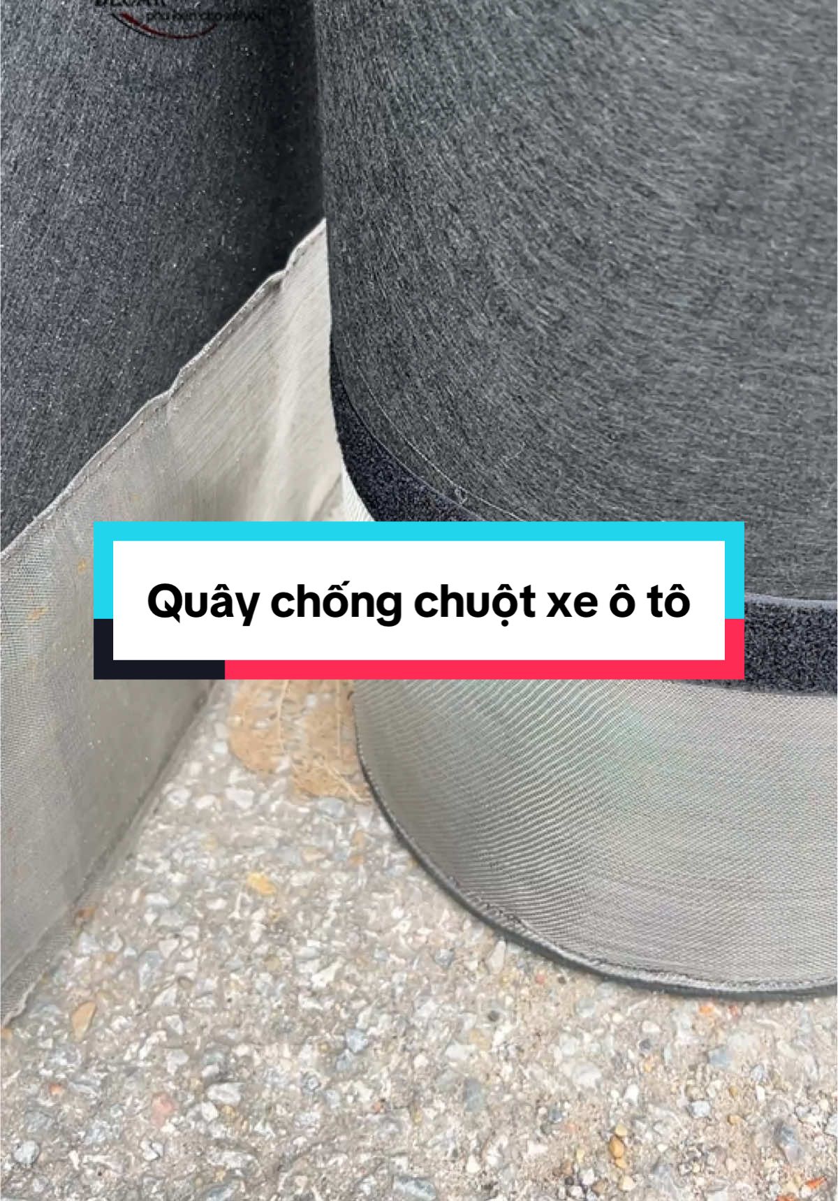Quây chống chuột ô tô bo viền , quây xe chống chuột, lưới chắn chống chuột cho ô tô #quaychongchuototo #luoichongchuot #quaychongchuot #phukiendecar #viral 