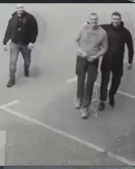 da te volim VELJO NEVOLJOOO! #hocuviral #beograd #viralvideos #srbija #balkan #fyp #veljkobelivuk #veljanevolja #veronevero 