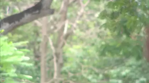 #คมพยาบาท 