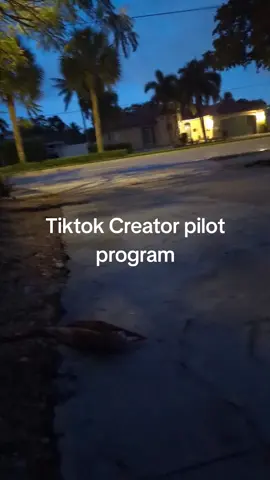 #tiktokcreatorpilotprogram  #tiktokcreators #tiktokcreatorsearchinsightsincentive tiktokcreator