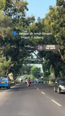 pesona kota subang izin yah yg punya video yah maaf sekali lagi izin yah  #subangjawabarat #subangdenganseribukenangan #fyppppppppppppppppppppppp #semogamasukberanda 