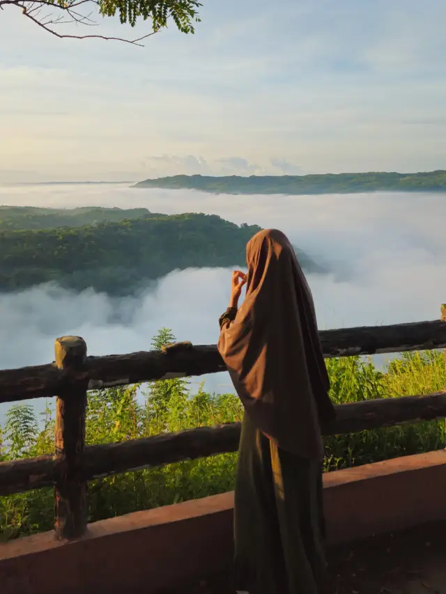 View kebun buah mangunan jam 6 pagi 🍃🌥 #yogyakarta #kebunbuahmangunan 