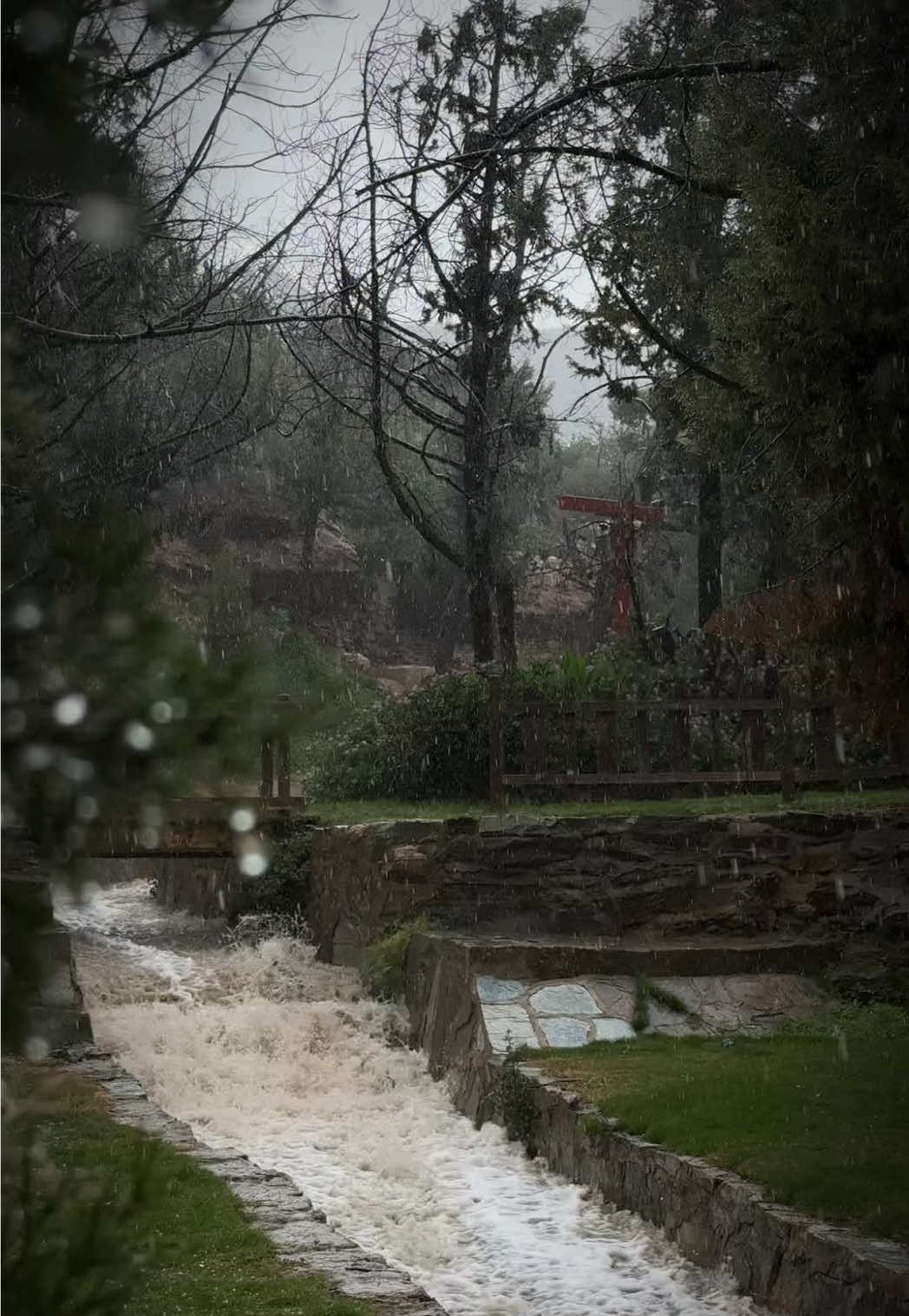 أمطار ⁧‫#الباحة‬⁩ اليوم من منتزه رغدان تفوق الوصف ☂️🤍 