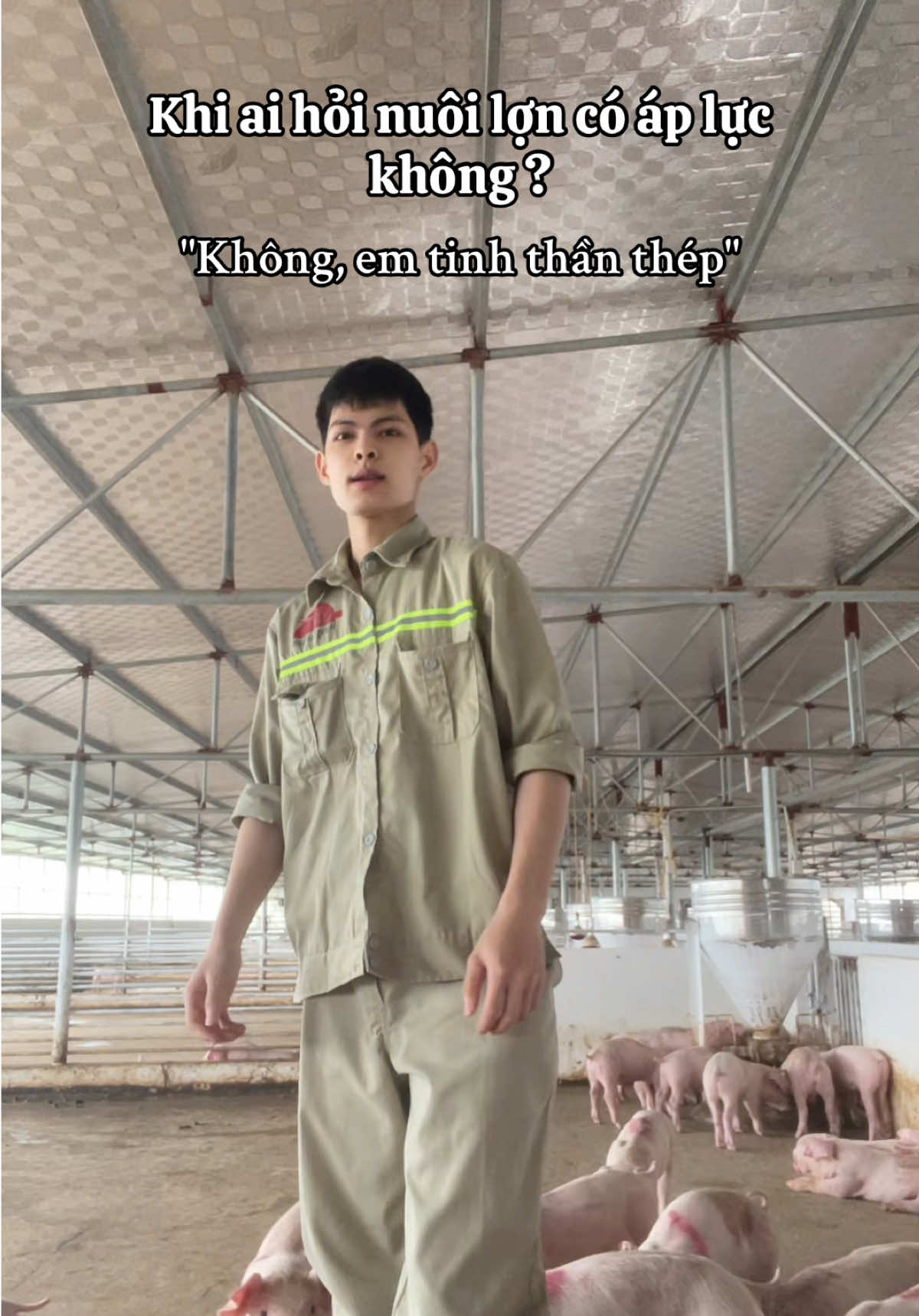 Áp lực cầm quân nó vậy đó #channuoiheo #pigfarm #fyp 