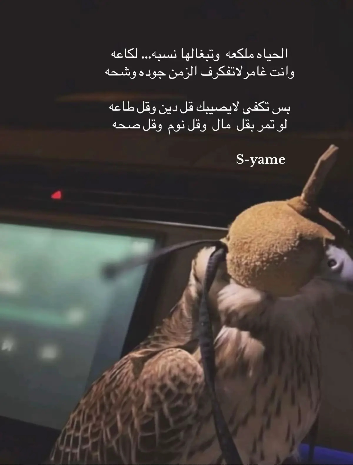 #fypシ゚ 