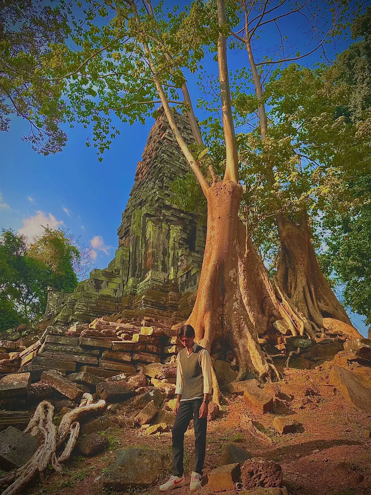 🌳🙂