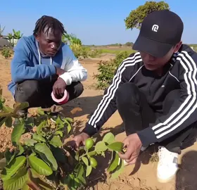 Quang Linh troll ko chừa một ai😂#quanglinhvlog #phamquanglinh #teamchauphi #xuhuong 