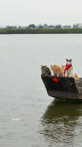 Report Captain!