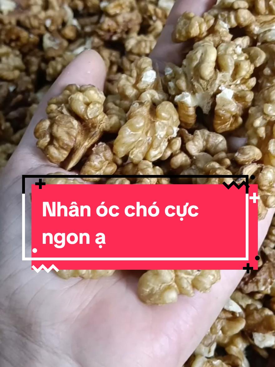 Nhân óc chó em đang sale còn có 109k/500g thôi ạ.#diepphuongfarm1 #diepphuong_123 #diepphuongfarm #occho#nhanoccho#nhanocchovang#nhanocchomy#hatoccho 