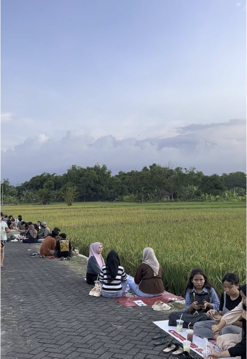 besok kita akan kopi pagi,buka 05:00-selesai #kelilingkopiasprim #asprimgank #asprim #fyp #fypシ゚viral #reeltiktok #nyore #nyoredisawah #pandaan #lokalpandaan #mojopandaan #pandaanpasuruan 