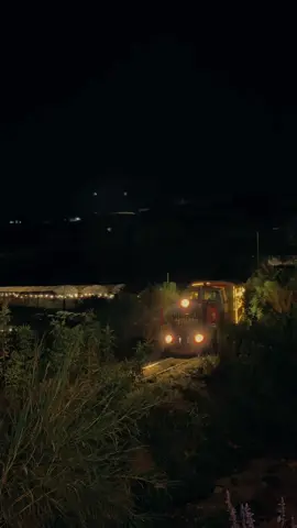 Mấy bạn lên Đà Lạt đã bao giờ săn được tàu đêm chưa#tiemanhbaprangbo #quayclipchill #reviewdalat 
