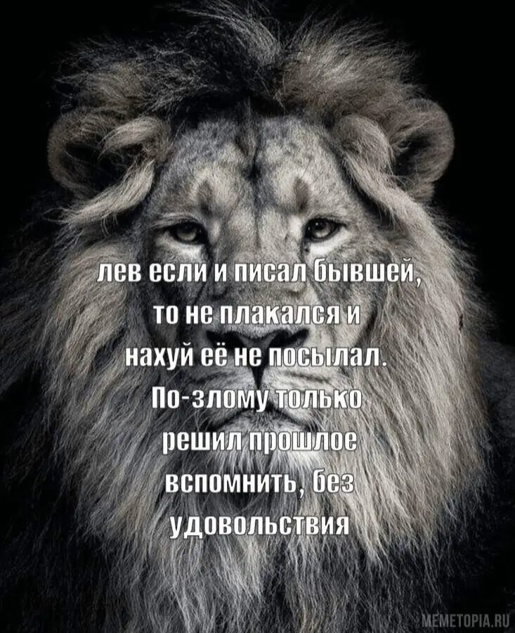 #лев #мем #бывшая #отношения 
