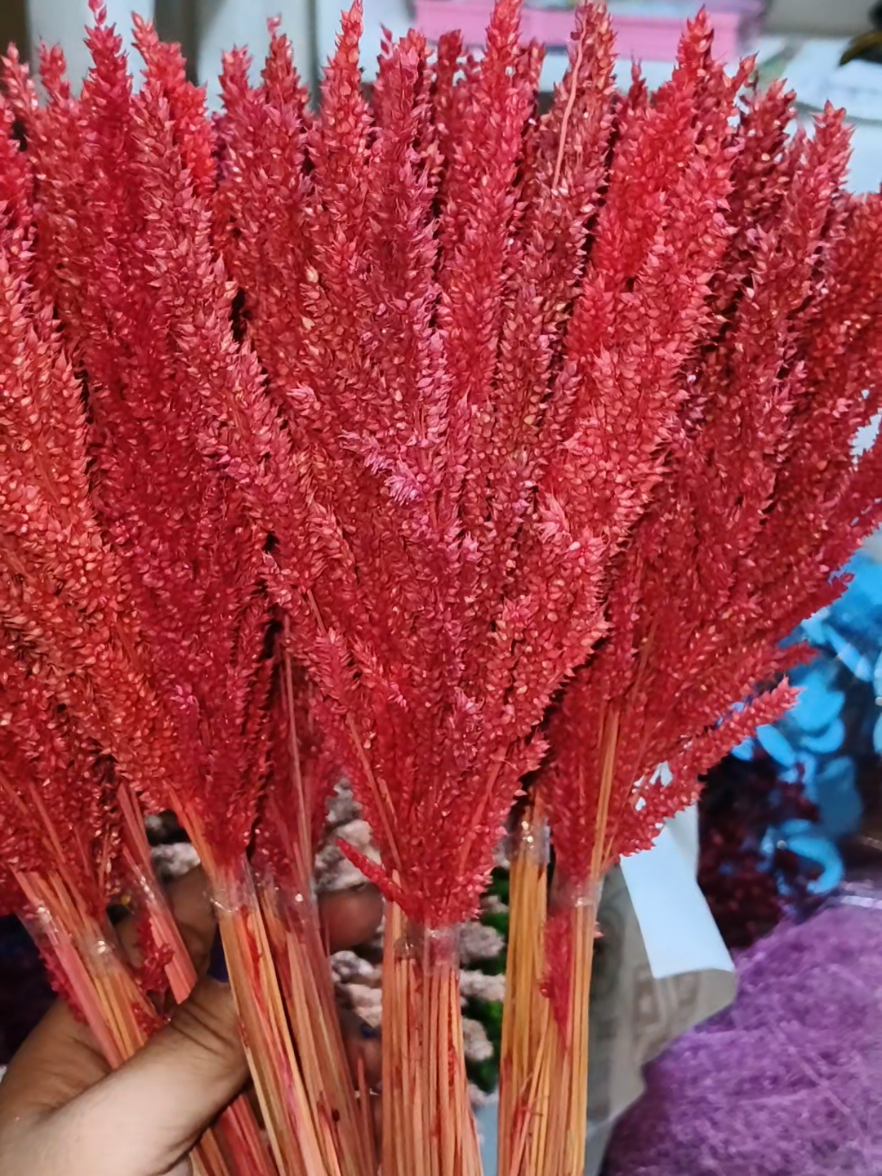 TRIGO DRIED FLOWERS #fyp #trigo #boquetofflowers #driedflowers 