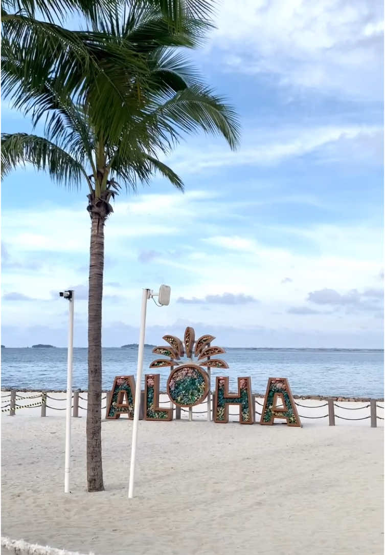 #aloha #pantaialoha #pantaialohapik2 #pik2 #fyp #foryou 