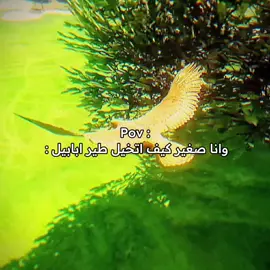 #رياكشن #رياكشنات #explore #السعودية🇸🇦 