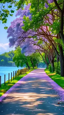 #cảnhđẹpthiênnhiên 