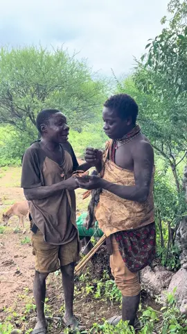 “WHO’S THE REAL FRUIT BOSS? 😂” These two Hadzabe legends started a mini food war over wild fruit 🌰🤣 One bites, the other grabs — it’s serious business when snacks are this rare 💪🏽💥 No rules, just crunch, chaos & brotherly vibes in the wild 🌿🔥 Would your bestie let you have the last bite? 😂👇 🎥 Watch the full madness on YouTube: Roaming with Vinu Follow for more tribal fun 👉 @roamingwithvinu 🛖📸 #hadzabe #tribalhumor #snackbattle #fruitfight #wildlifevibes #funnymoments #bushbros #friendshipgoals #roamingwithvinu #fyp #tribalvibes #wildlifecomedy#friends #brother #brotherhood #brothers #funfight #bushlife #friend #friendship #tiktokviral #tiktoker #tiktok_india #tiktoknews 