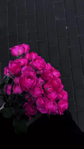يا جمال يا خيال❤️#مجرد_ذووقツ🖤🎼 