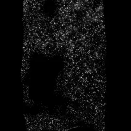 #touchdesigner #2hollis #boylife #fyp #touchdesignervisuals #nettspend #xaviersobased #natesib 